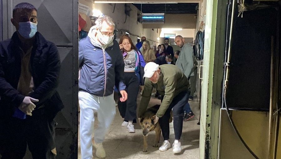 Gebze’den sonra Ümraniye: Barınaktaki görüntüler tepki çekti, belediyeden açıklama geldi