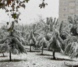 İstanbul’un yüksek kesimlerinde kar yağışı